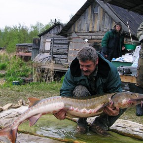 Сохранение наиболее редких осетровых рыб Евразии